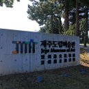 제주도립미술관 Daum카페