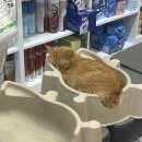 수린약국 이미지