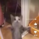 구구네일 - 성북구 동소문로20나길 13 | 구구네일