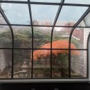 뒷뜰이예쁜집 이미지