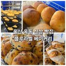 옥동초등학교 | 울산 남구 옥동 빵집 대공원 블루라벨 베이커리 깜빠뉴 식빵 치아바타 건강빵 맛집