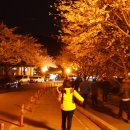 군산월명종합경기장실내수영장 이미지