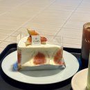 은하수아파트_하 | 신도림 카페 콘피 confi 분위기 좋은 디저트 케이크 맛집