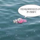 바라바 이미지