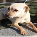 방산초등학교 이미지