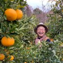 야베스농장 이미지