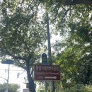 통양사랑테마공원 이미지