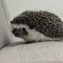 소중한유여성외과의원 이미지