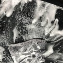 99 Detail 이미지