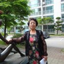 상록목장 이미지