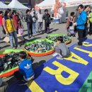 홍성 광천읍행정복지센터 이미지