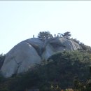 D.C 동대