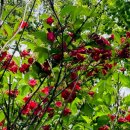 여강길(10-1코스 싸리산길) 이미지