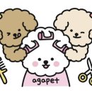 아가펫살롱 이미지