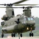 (주)연어 이미지