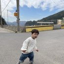 복땡이 이미지