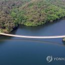 장성호 출렁다리(넘실정) 이미지