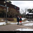 진안흑돼지 이미지