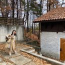 자연속으로 나를 찾아서 이미지