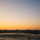 당진시 농업기술센터 북부지소 | 2026년 충남 대혼란! 태풍급 강풍부터 금연 혁명까지 클릭 폭발 뉴스 TOP