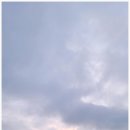 금갑해변 티스토리