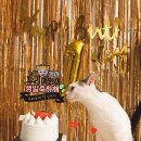 초로동물병원 이미지