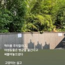 옥주현 “길고양이에 먹이 금지? 고양이는 싫고 쥐들을 원하나” 이미지