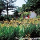 군평초등학교 이미지