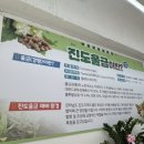 목포왕꽈배기 이미지