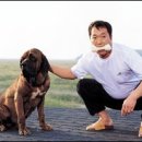 갠지 Daum카페