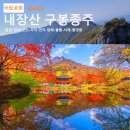 [접수]송탄산악회24년11월3일(일요일)전북정읍 내장산8봉종주신선봉(763m)산행 이미지