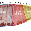 천지연민물 이미지