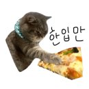 수원 막창 이미지