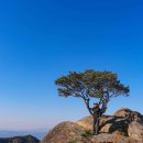 창녕 영축산&종암산 이미지