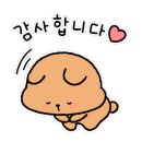 일산소문난구제