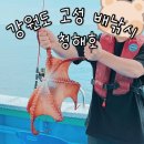 강원도 속초 고성배낚시 아이랑 가자미 문어 선상낚시 청해호 체험 후기