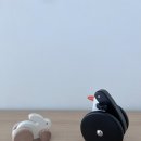 스튜디오스킹키