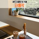 공간 | 통창 너머 귤나무 정원이 예쁜 공간 :) 제주 서귀포 카페 터틀락 내돈내산 후기