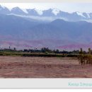 실크로드 : 사막을 달리다 - (3) 이미지