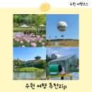 힐링에세이+ 숲(영흥수목원) | 수원 여행 추천 당일치기 가볼만한곳 모음zip 5월 6월