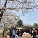 합덕여자중학교 이미지