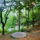 책달샘숲속작은도서관 이미지