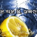 레몬