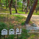 한국숲정원