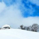 동화목장 이미지