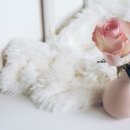 바비살롱 이미지