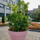 판타스틱큐브도서관 이미지