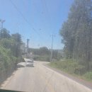 여주-1139 이미지