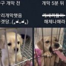 인천야구레슨 주베이스볼에서 투수,타격레슨 받고 온 후기
