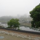 꽃봉산로 이미지